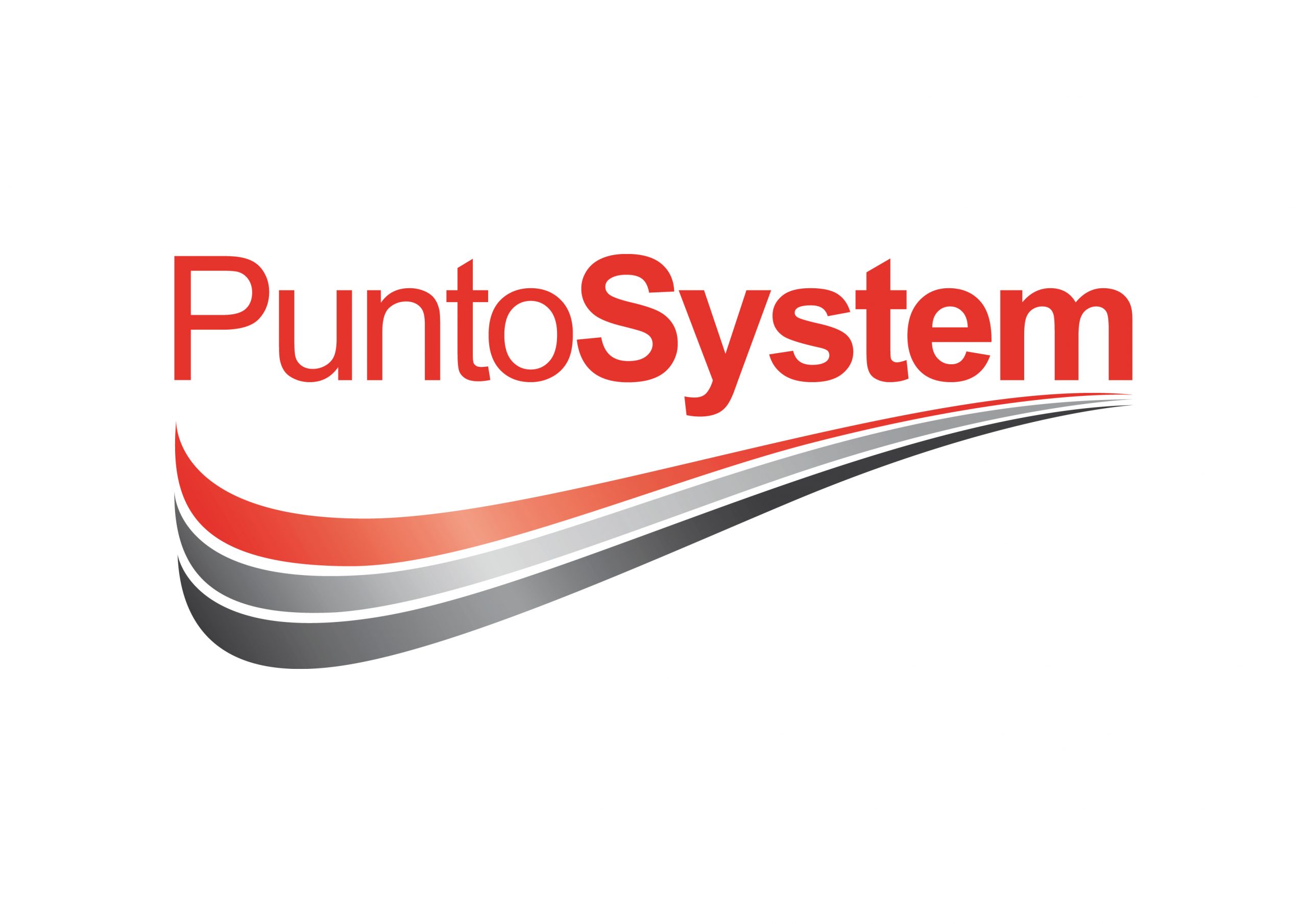 Microtunnellink partner: Punto System