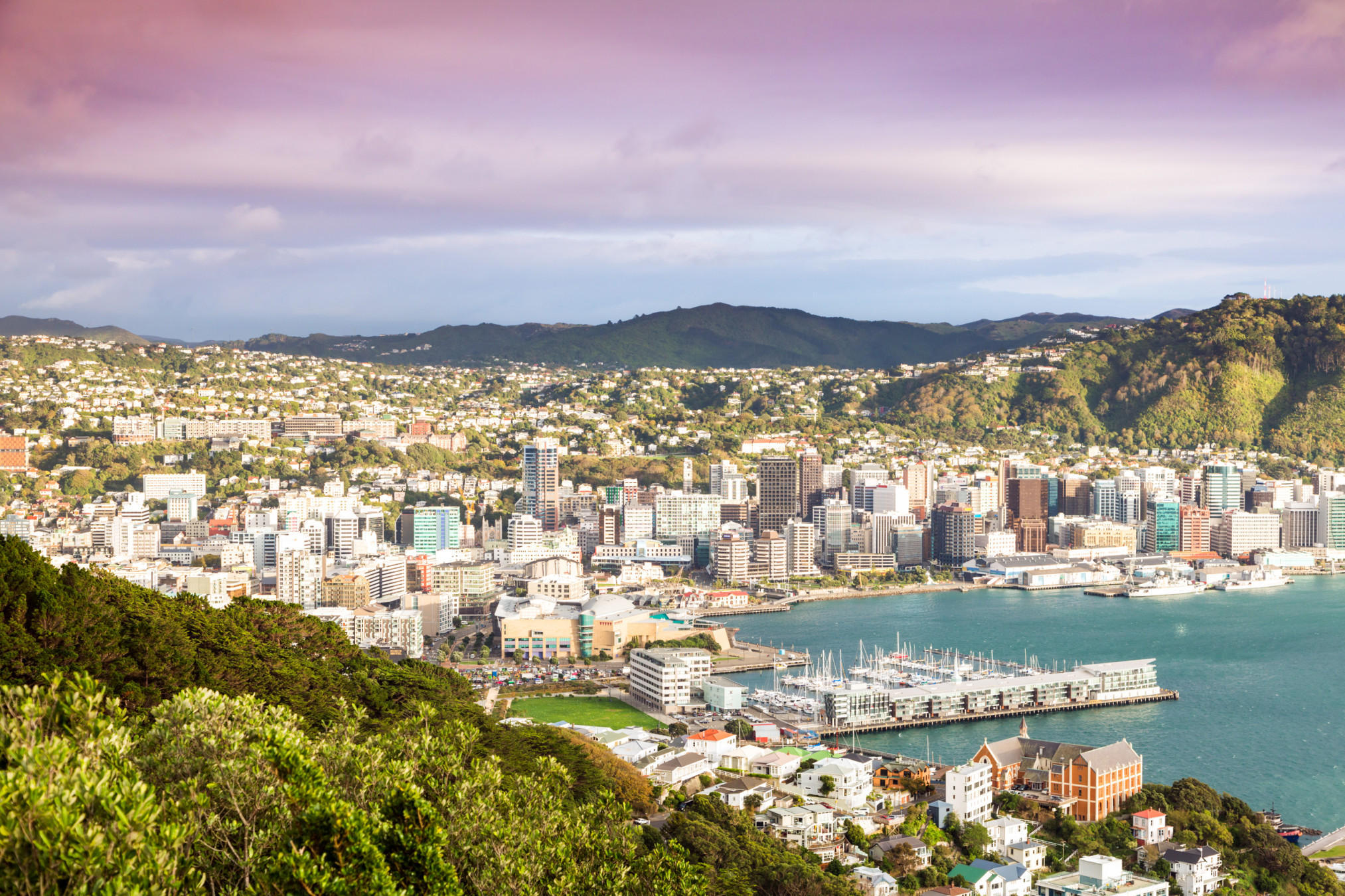 Long-distance microtunnelling projects exemplified in New Zealand